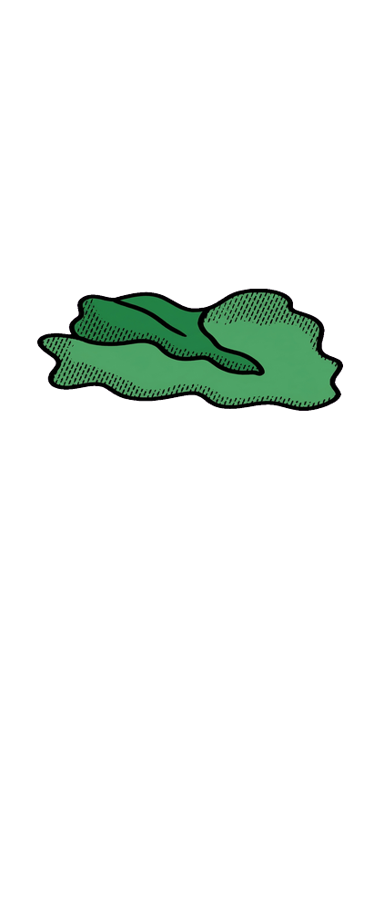 layer-3-lettuce